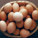 Eggs
